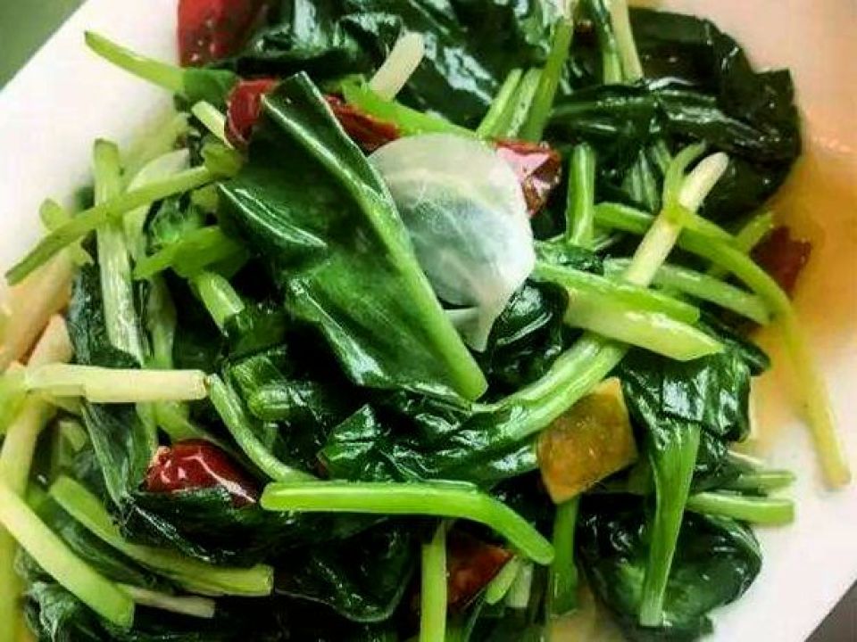 在平武，有种美味叫野菜！舌尖上的春天巴适得板！
