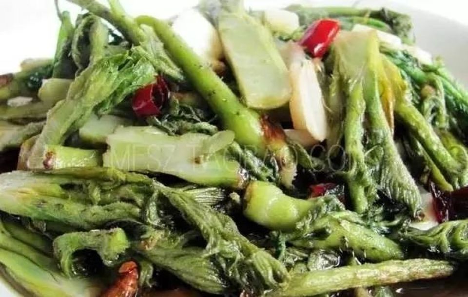 在平武，有种美味叫野菜！舌尖上的春天巴适得板！